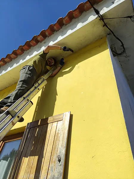 Homem num escadote a pintar o exterior de uma moradia